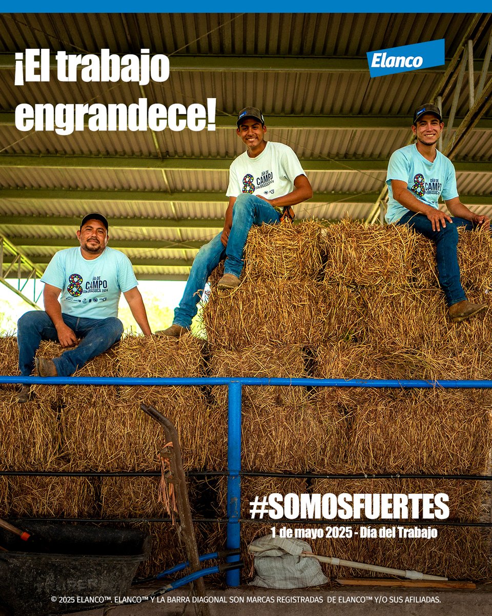 ElancoAgroMX's tweet photo. 😉👷🏽‍♂️ Con esfuerzo, dedicación y lucha; su trabajo engrandece a nuestro país. ¡Feliz día del trabajo! ⭐ https://t.co/hRGDTiK4gz