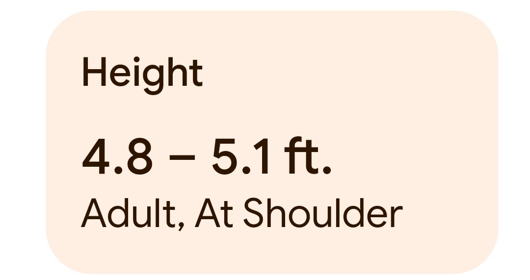 Taking the chance to reread through part 7 before the anime comes out and reminder to all #diegobrando artist
This man is like 5'4" AT MOST