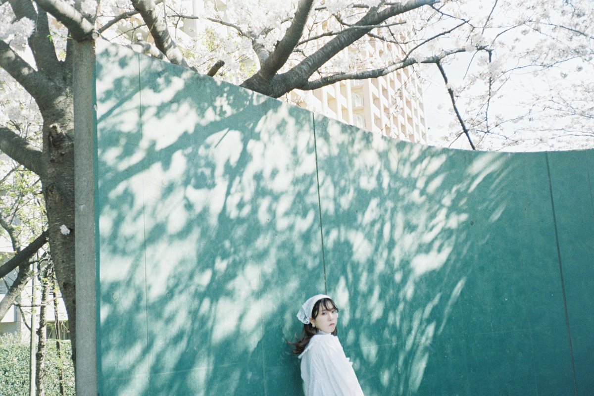 fukazume360's tweet photo. 桜と白のワンピース🌸

#portrait
#作品撮り
#photography 
#カメラマンさん募集
#撮影依頼募集中
#film https://t.co/fcTxxSAuR6