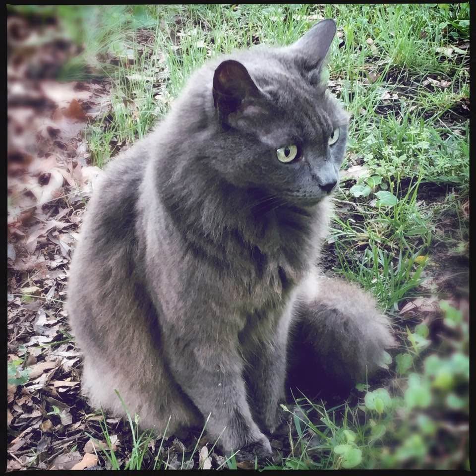 DebG 😷🦠☠️ tweet media