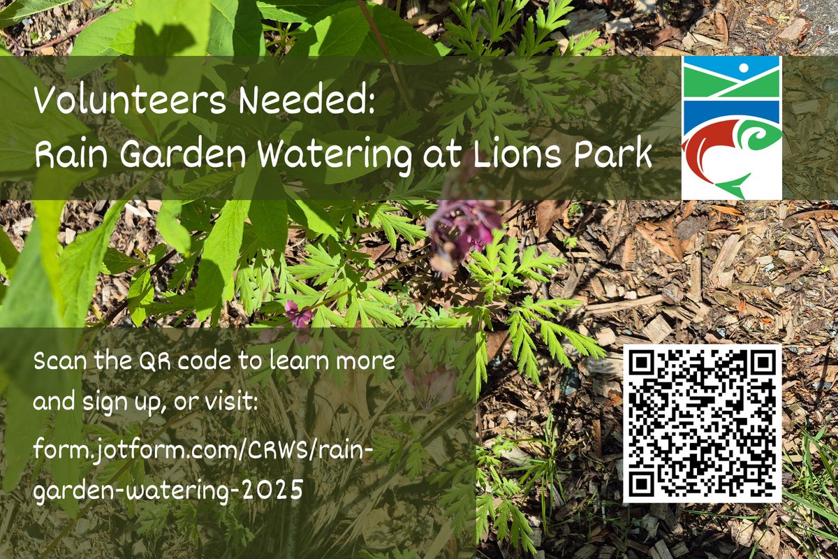 Calling for volunteers! Spend a pleasant summer morning or evening watering the plants in the rain garden at Lions Park.

Rain gardens are a natural way to filter stormwater runoff before it reaches the Coquitlam River.

To sign up, go to: form.jotform.com/CRWS/rain-gard…