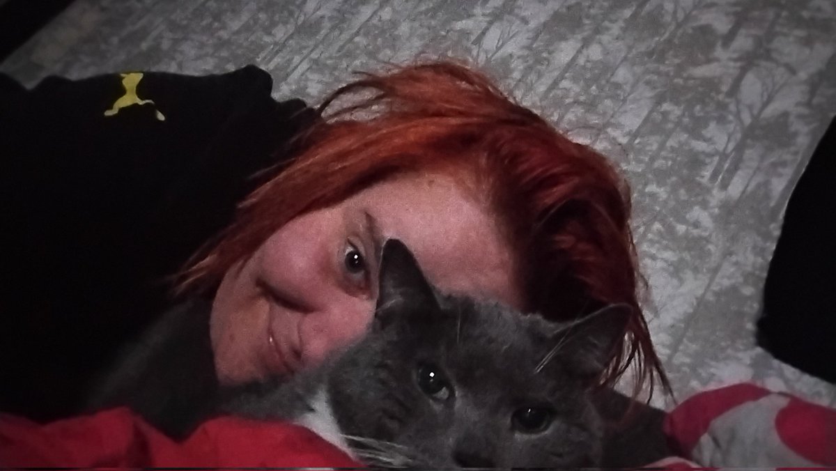 purrjo's tweet photo. Unille 😺❤️ https://t.co/2sDq5s32no