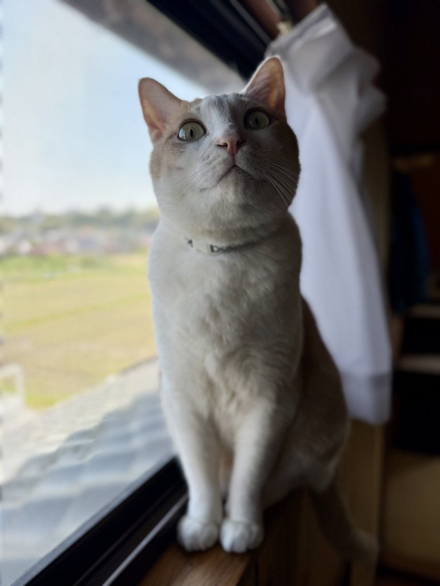 今日から五月。心なしか、皐月の空気は心地よく感じるね😉