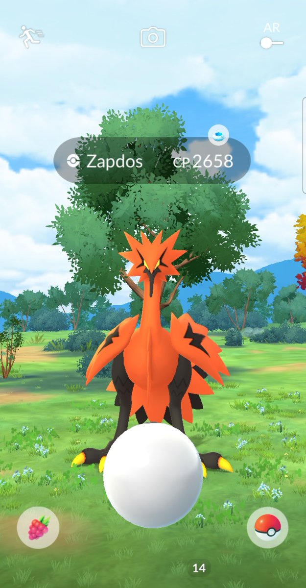 milieva13's tweet image. He finally showed up for me!!! 💛 #MasterBall for the win! #PokemonGO #CatchThemAll #GalarianBird