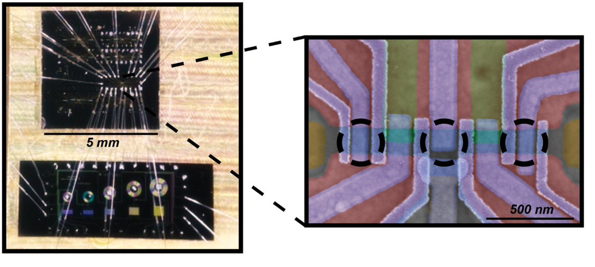 There is more than one way to engineer Majoranas. Our latest work on a 3-site Kitaev chains in 2DEGS was just published in Nature: nature.com/articles/s4158…
A broad overview here: qutech.nl/2025/04/30/maj…
