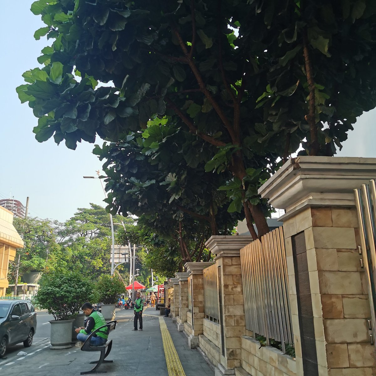 cikini lagi cikini terus