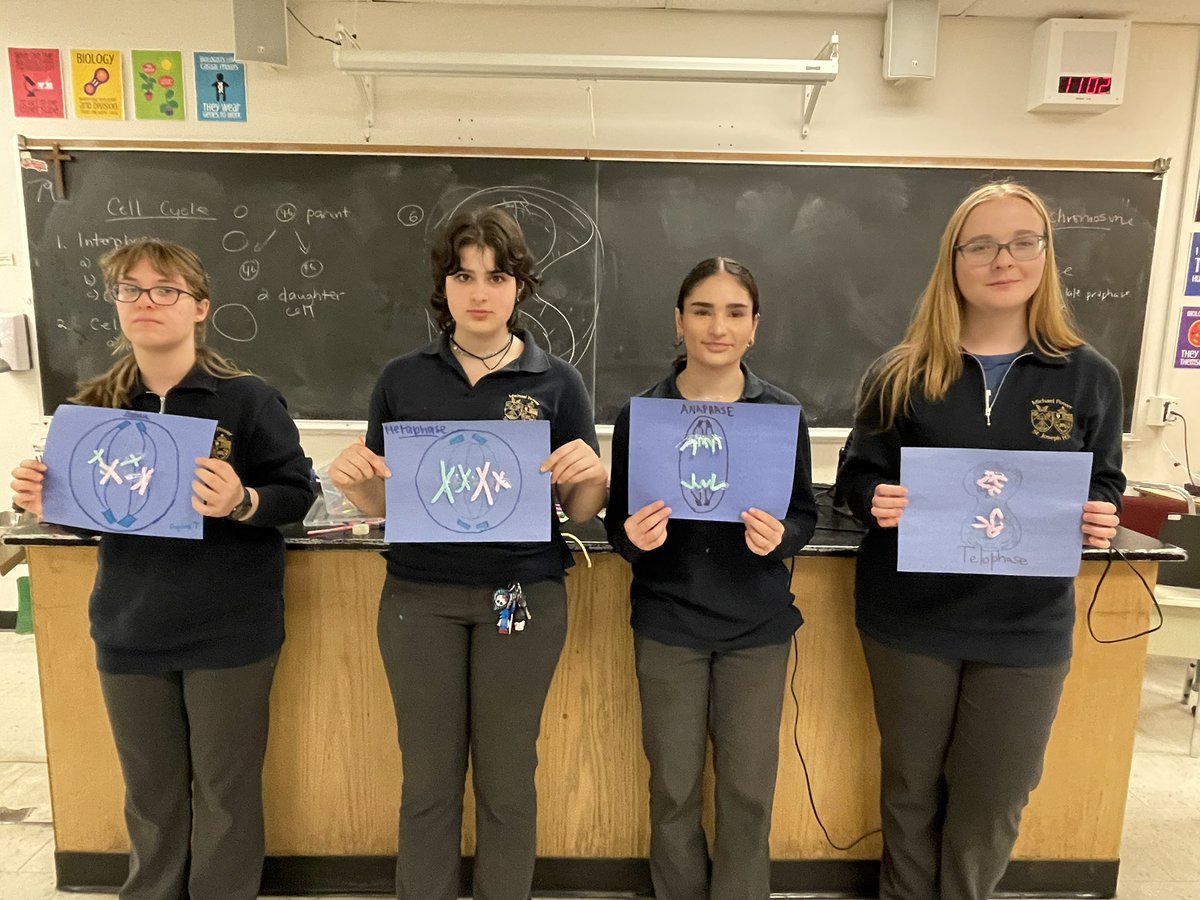 Showing off the stages mitosis with our Gr 10 students. #mpsjscience <a href="/MPSJ_TCDSB/">Michael Power/St. Joseph High School</a> <a href="/PowerIB/">MPSJIB</a> 🧬   

o ➡️ O ➡️ 8 ➡️ o o