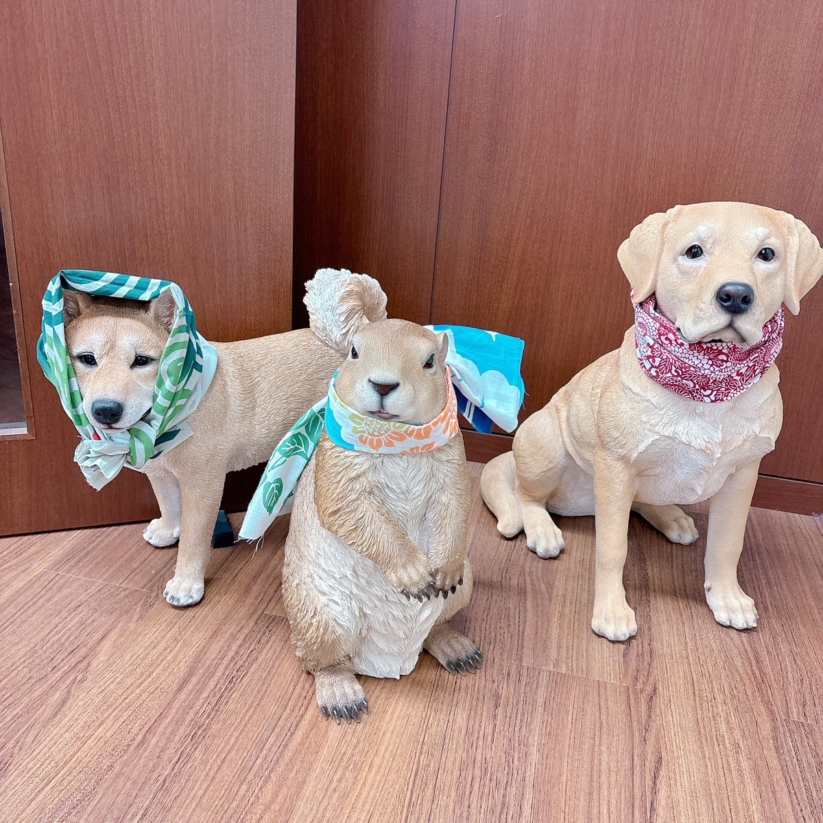 手ぬぐい戦隊🐶ハッ‼️