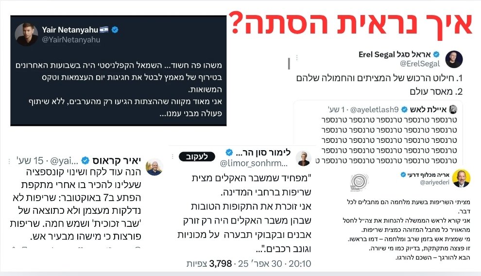 דובי שורץ دوبي شڤارتس Doubi Schwartz (@doubischwartz) on Twitter photo 