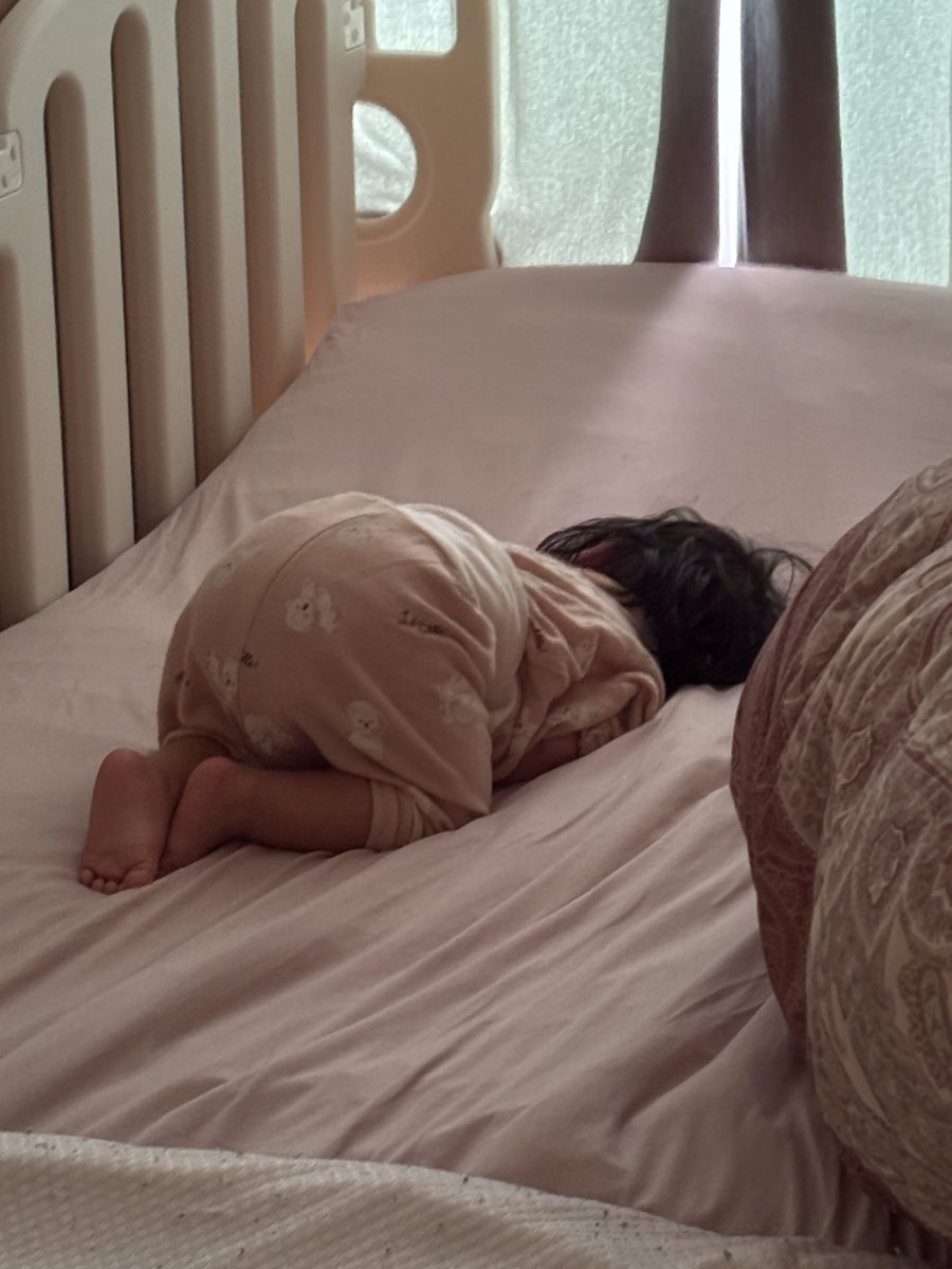 taroftd's tweet image. 久々に執筆途中の原稿データを消してしまって激萎え。
こんな時は「もっと面白く書けるっていう、神様のお告げだな」という先輩の言葉が刺さる。
でも萎える。あー、萎える。萎えた。萎えてしまった。