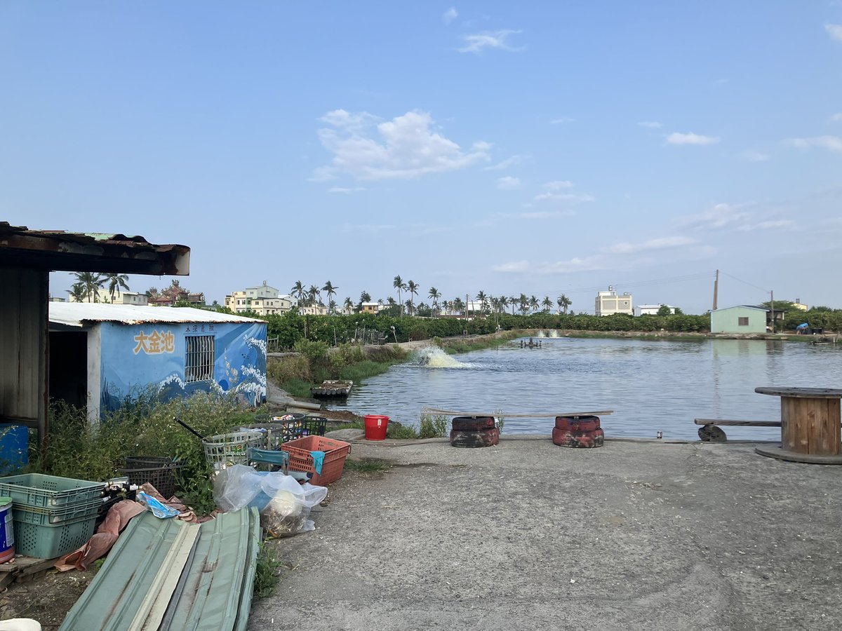 きたかみ！ tweet media