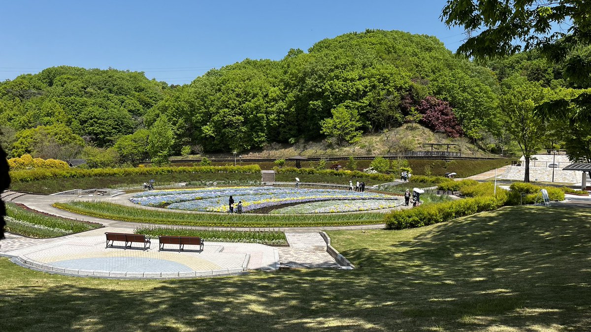 癒やしを求めて🌼
花に緑にとても癒された