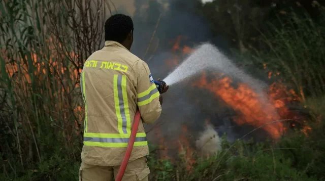 ভয়াবহ দাবানলে পুড়ছে ইসরায়েল, বিদেশি সহায়তার আবেদন