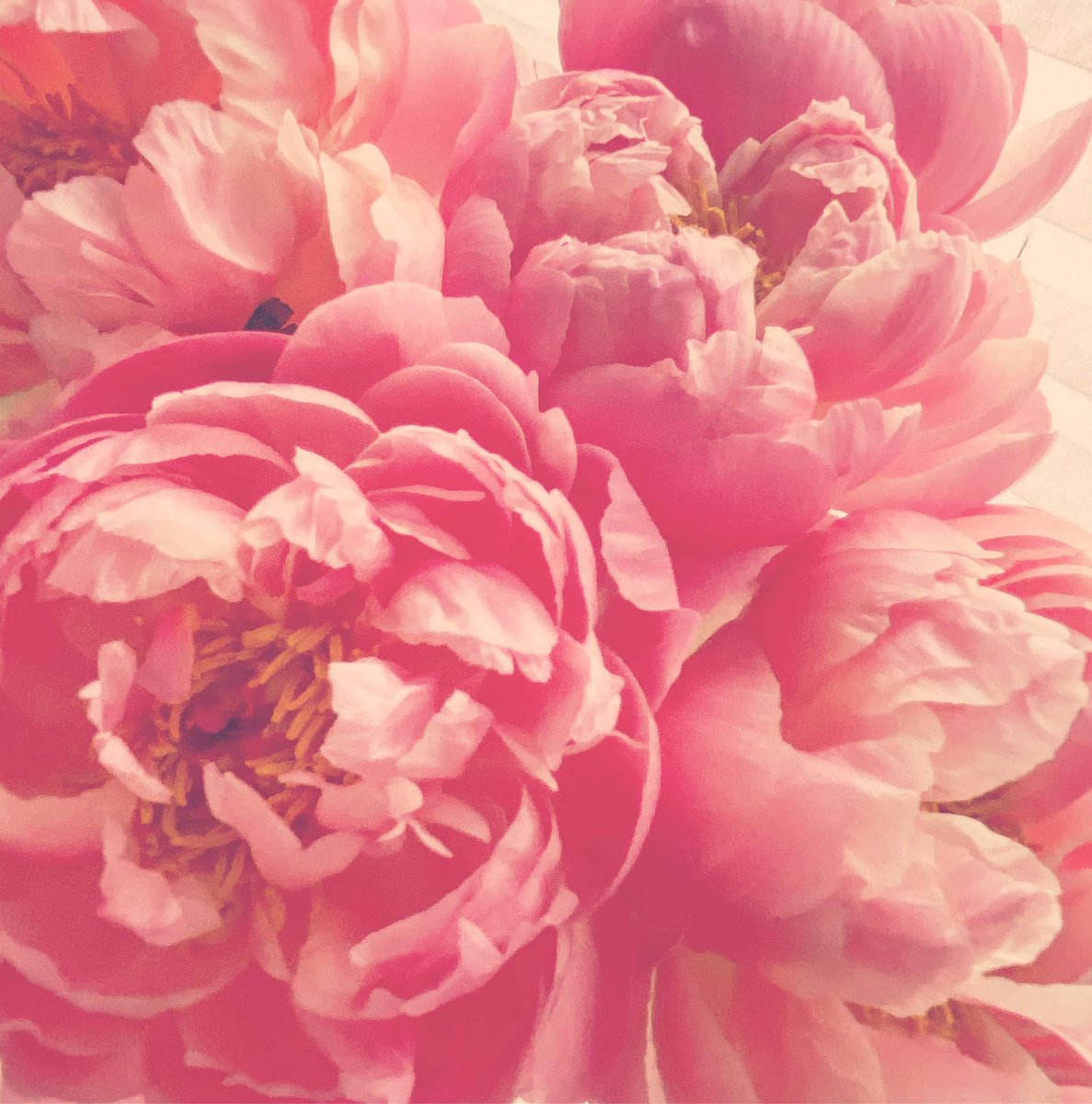 Morning lovers 💗❤️

New month, new day &amp; new page in the book of life
Enjoy the dancefloor whether it’s boogie, twist or jive
A pirouette or two are fun parts too 
Who is joining the dancing crew? 😉x 

Have a lovely day x Mwah 💋