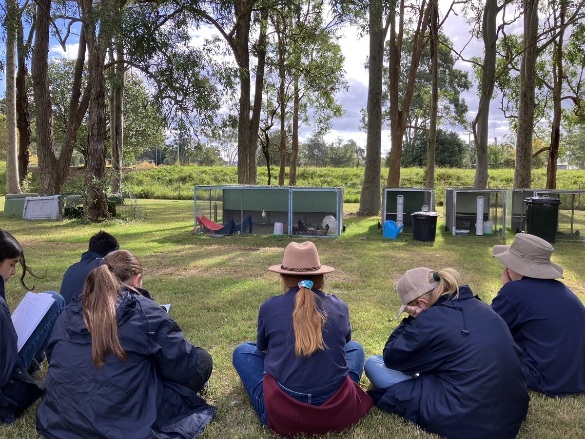CoE_AgEd_RAC's tweet image. 7iDesign testing their final products for their animal enrichment design project 
-observational skills and careful data collection @NSWEducation @mccallumtp #transdisciplinarylearning #designthinking
