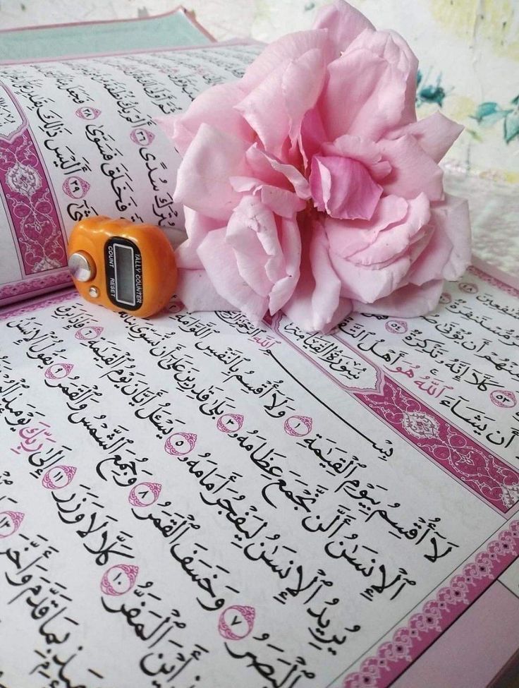 {ألا بِذِكْرِ اللَّهِ تَطْمَئِنُّ الْقُلُوبُ