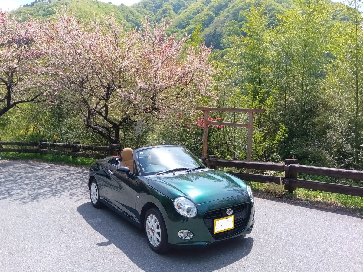 aquastyle's tweet image. ヅラダンじーちゃん乗せて頭頂部の毛が吹っ飛ぶ勢いで高速をオープンで走ってきたｗ
残念ながら意外としぶとい毛根だった、、、、