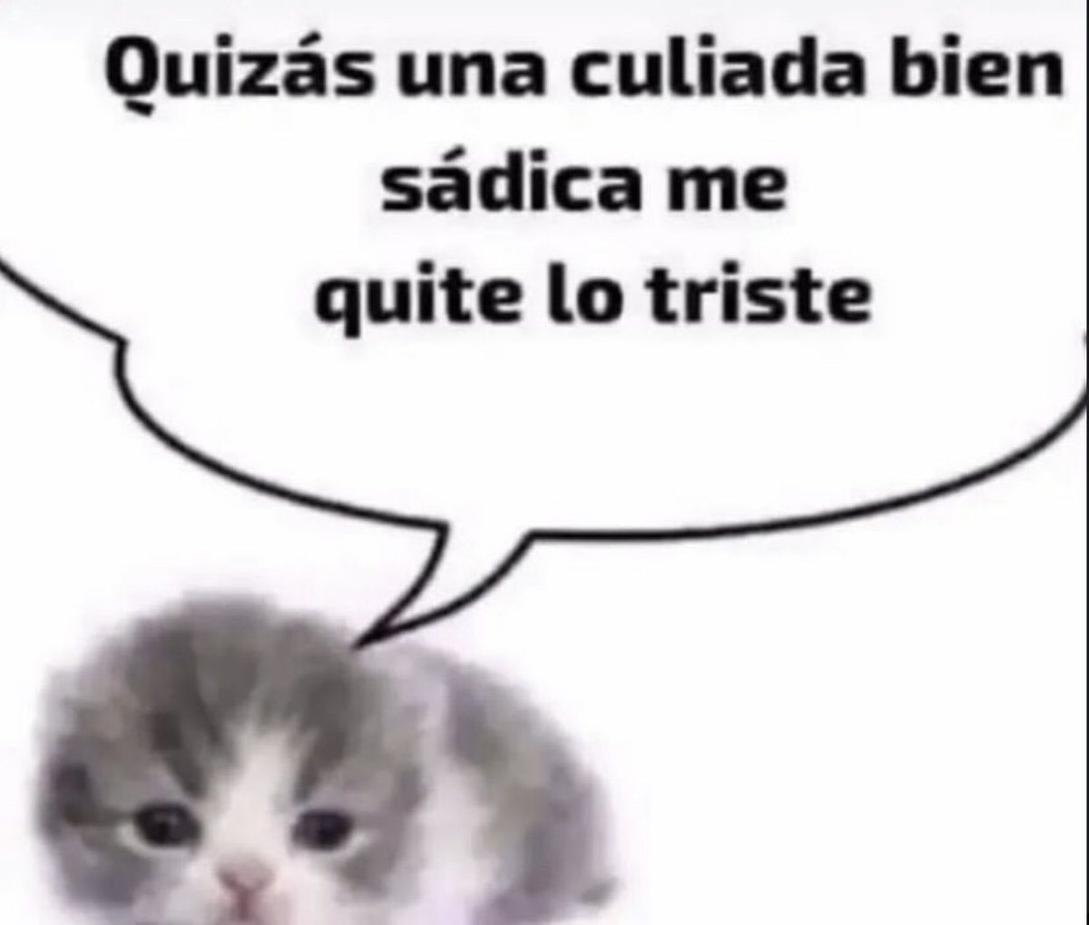 cxrrly's tweet photo. Mood https://t.co/lYOoBiBiJD