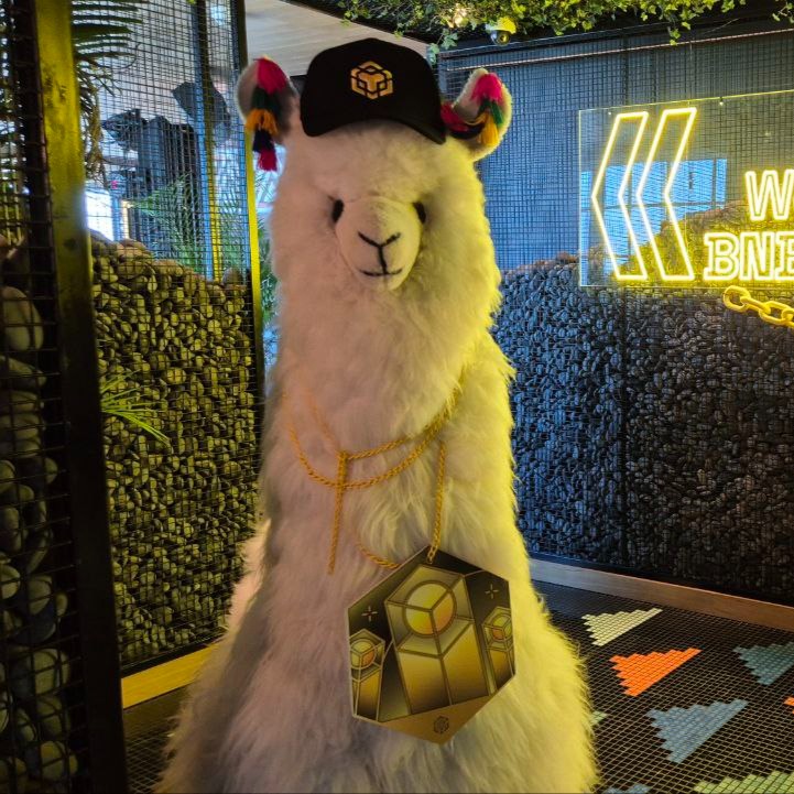 BNBCHAIN's tweet photo. gm 🦙 https://t.co/5AaZlwxwQd