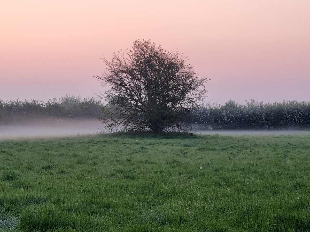 We had the privilege of joining Bourne Borderers as they danced the sun up this May Morning.
I've seen a fair few May Morning sunrises, but with the light and the mist, this year's was beautiful.
HAPPY MAY DAY TO YOU ALL!
#MayDay