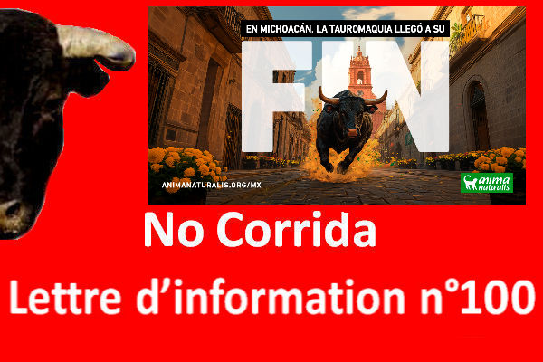 LINC n°100 – Lettre d’information No Corrida – 1er mai 2025

nocorrida.com/2025/05/01/lin…