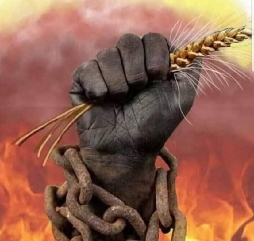 Emeğin ve Dayanışmanın günü kutlu olsun.
Yaşasın #1MAYIS