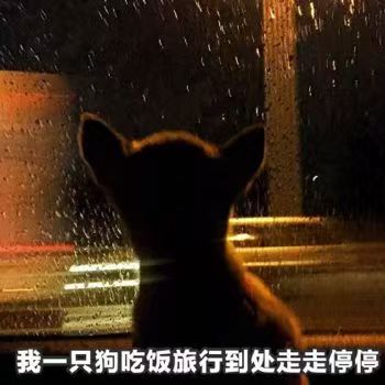 又是一次没有小姐姐约拍的五一