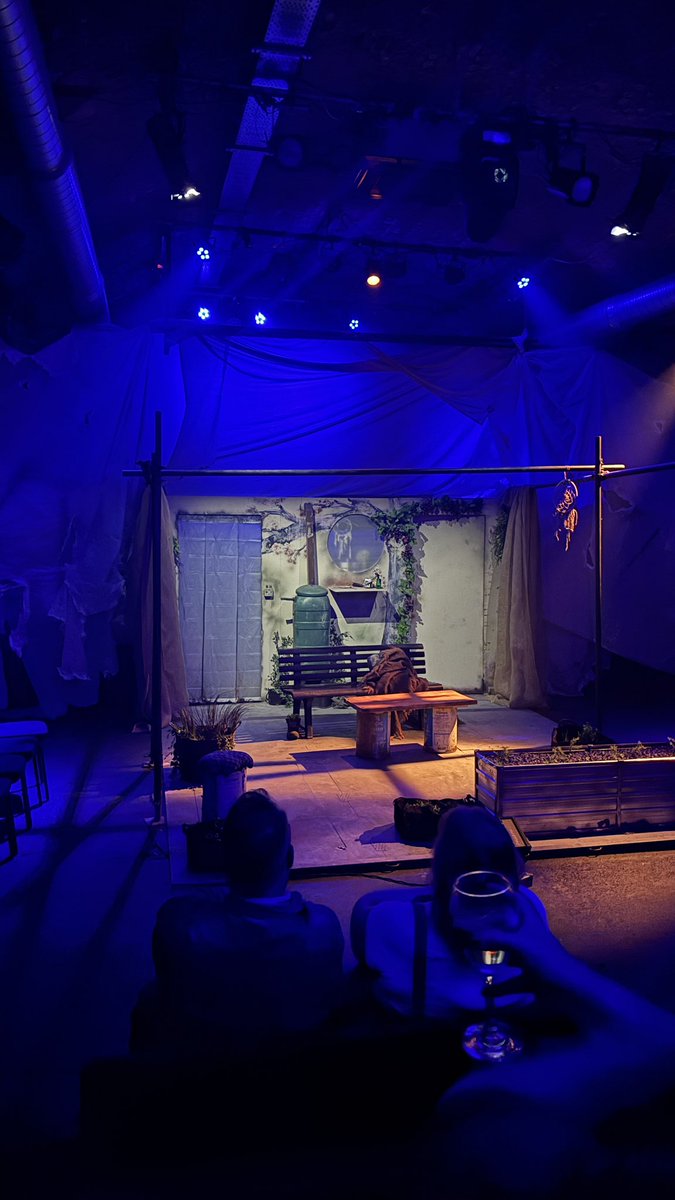 Elaine Willcox tweet media