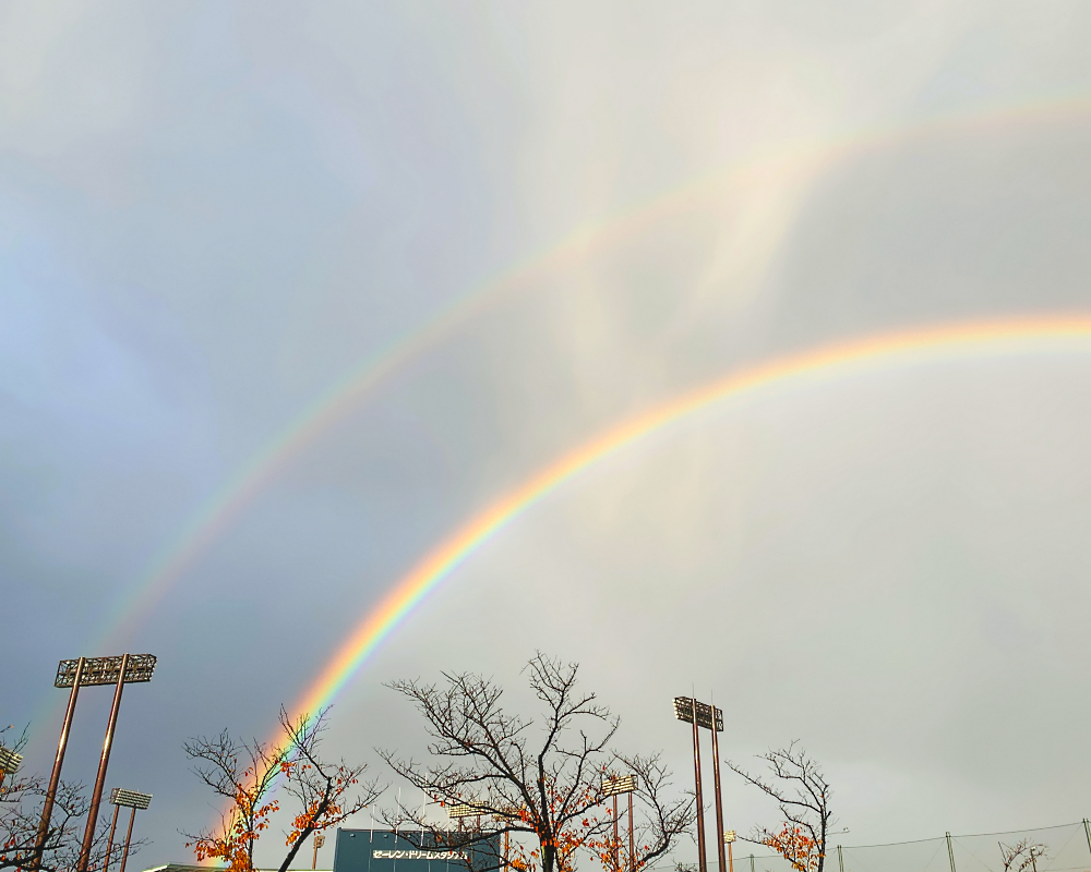 ✿ 𝒛𝒆𝒓𝒐 ✿´ ꒳ ` )☕ tweet media