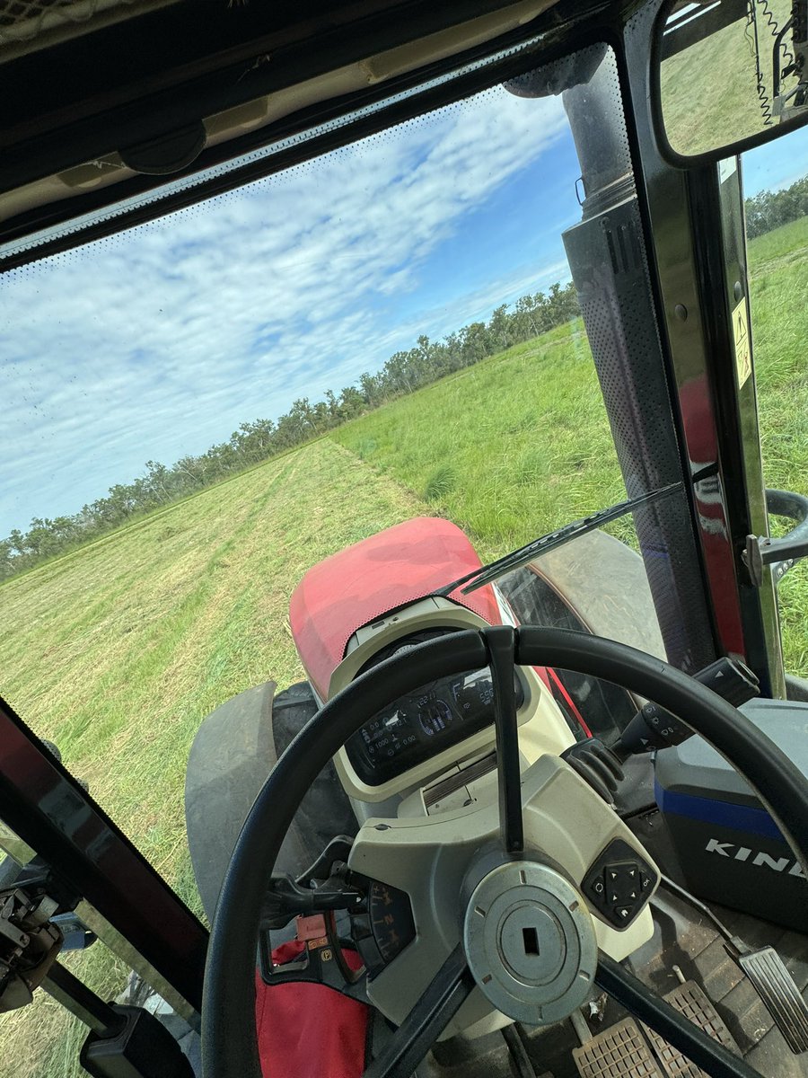 Dylan Panagiotou tweet media