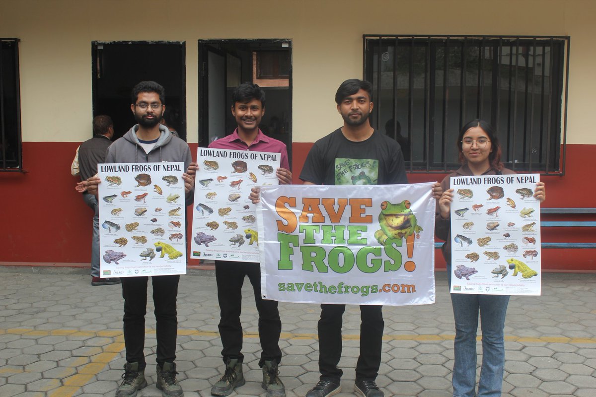 HerpsFreakk🐍🐸🐢 (@bishaln58025383) on Twitter photo Saving this little known creatures (Frogs) with school awareness on the occasion of Save TheFrogs Day,2025.
<a href="/herpsNEPAL/">bhattarai.herps 🦎🐍🐢🐊🐸🌿🌳🌲</a> <a href="/WorshipNature/">Hem Sagar Baral</a> <a href="/savethefrogs/">SAVE THE FROGS!</a> Saving this little known creatures (Frogs) with school awareness on the occasion of Save TheFrogs Day,2025.
<a href="/herpsNEPAL/">bhattarai.herps 🦎🐍🐢🐊🐸🌿🌳🌲</a> <a href="/WorshipNature/">Hem Sagar Baral</a> <a href="/savethefrogs/">SAVE THE FROGS!</a>