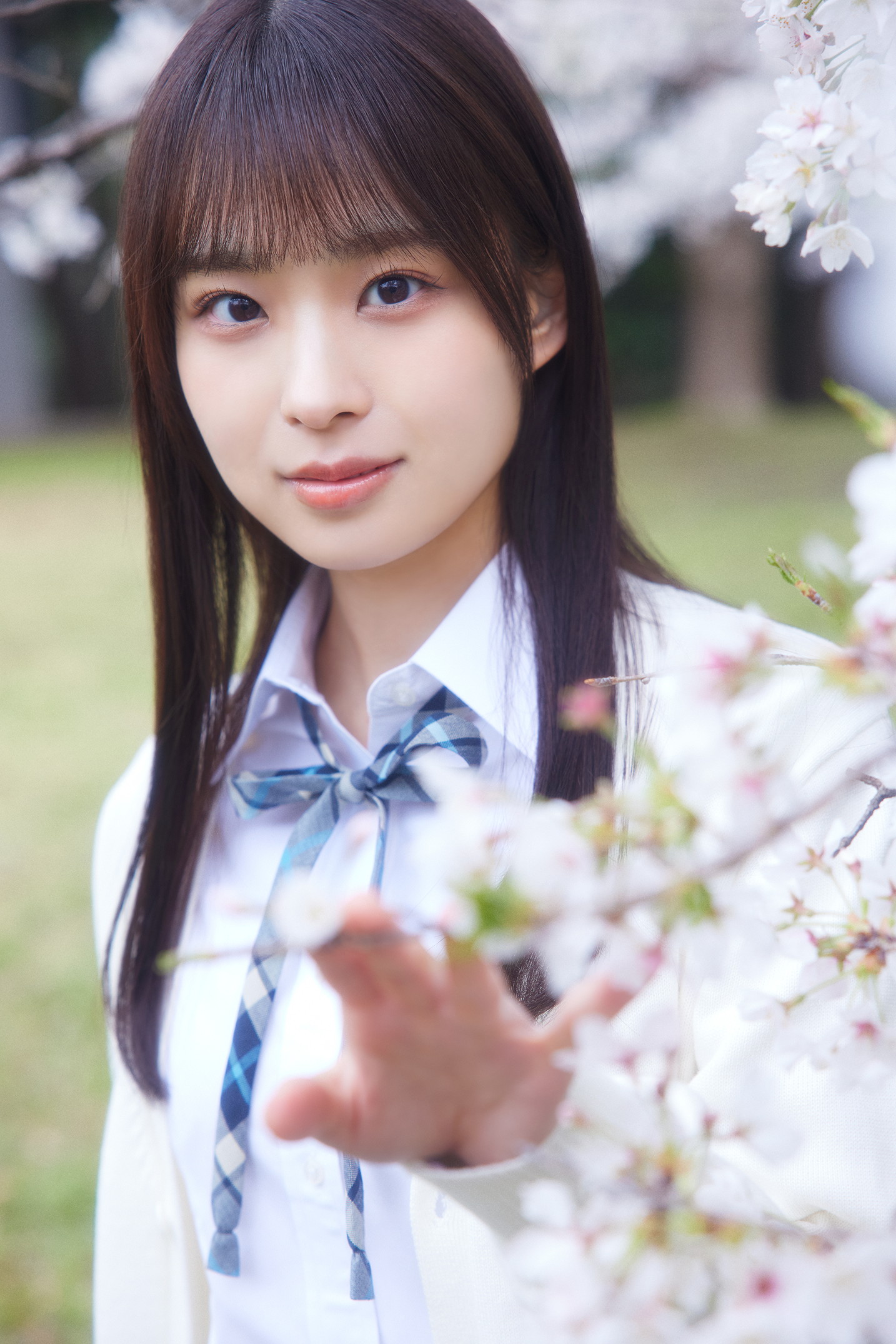 商品詳細ページ | 櫻坂46 OFFICIAL GOODS STORE | 【通常配送