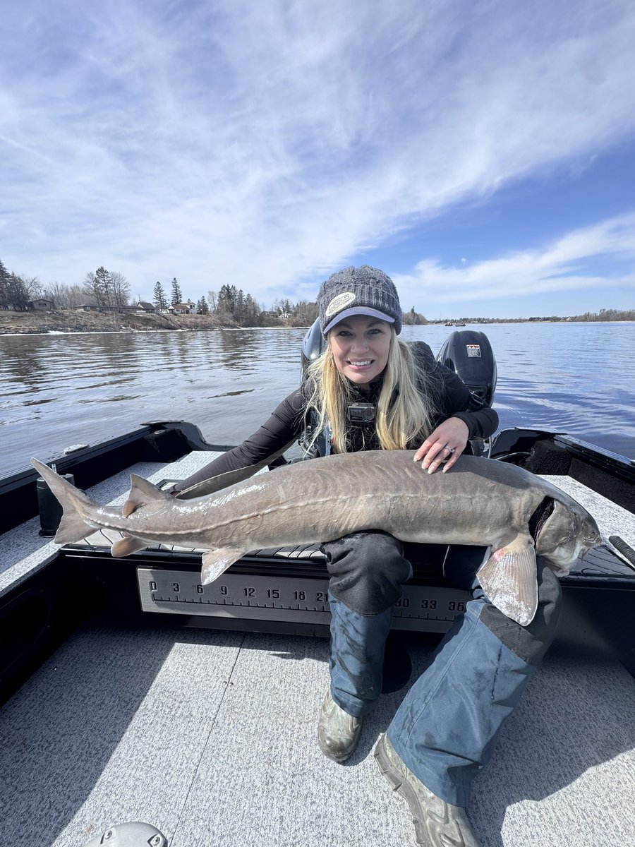 65” sturgeon from this spring! On my walleye gear: st. Croix Avid MF and Piscifun AlumiX 1000. <a href="/DSGOuterwear/">DSG Outerwear</a> always! #dsgfish #doingsomethinggreat
