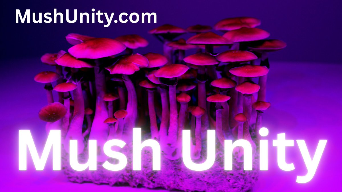 🚨 Premium domain for sale: MushUnity.com 🍄
Perfect for a mushroom brand, wellness startup, or supplement line.
✅ Memorable
✅ Brandable
✅ .com
Make it yours before someone else does.
📩 DM to inquire or visit MushUnity.com
#DomainForSale #MushroomMarket