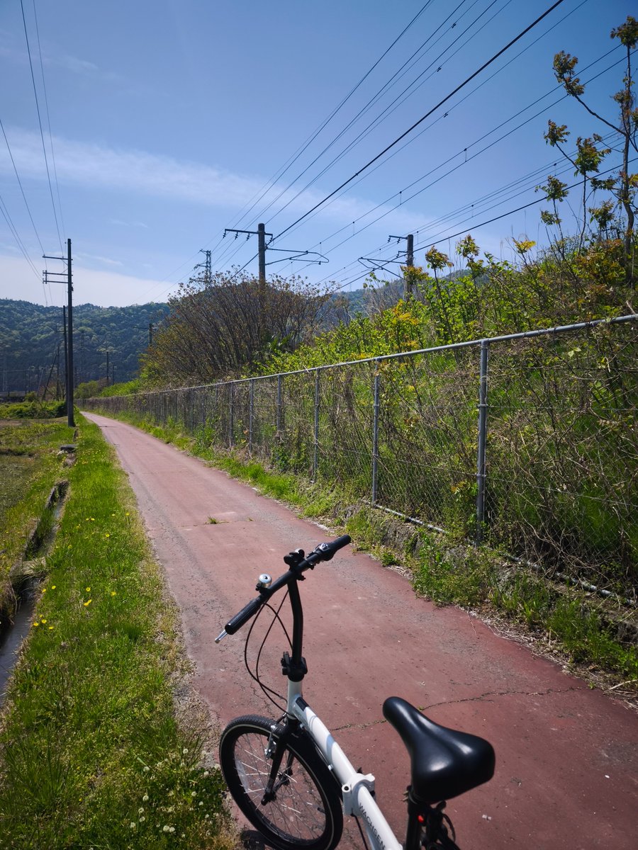 今日の散歩は自転車🚵

実家は田舎やけど良いものやと思う🧐