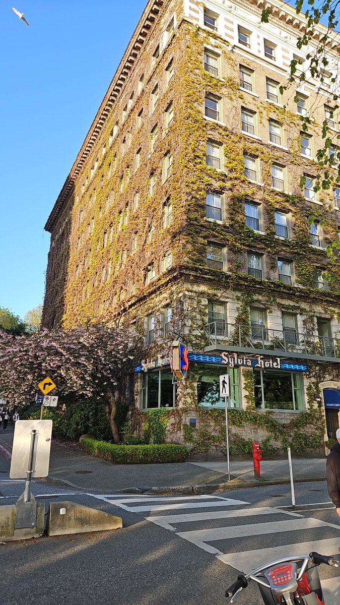 westbeachmusic found #cubiecoin at the Silvia Hotel