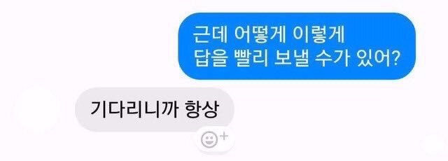 캣버그같음