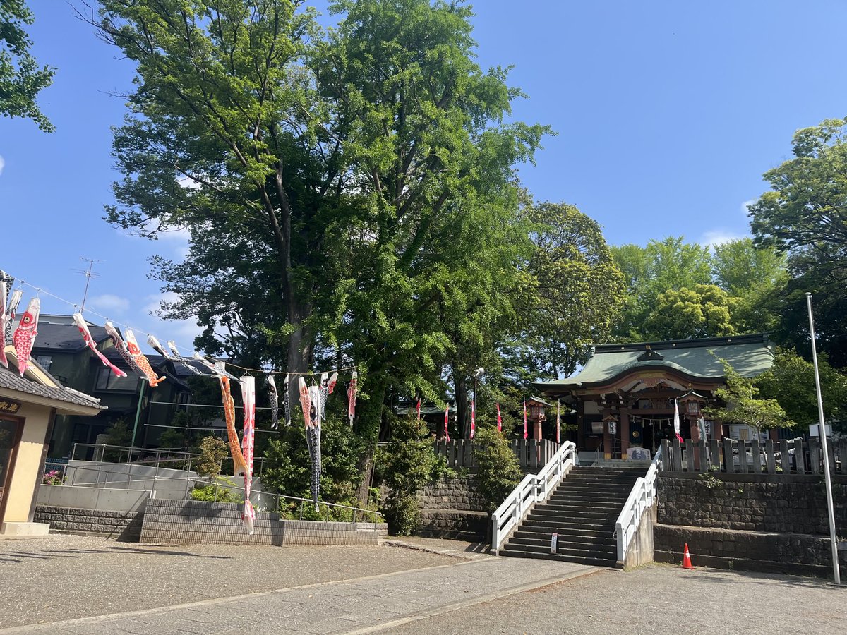 今日から5月、朝のウォーキングも気持ちの良い気候です。またすぐ暑くなるんだろうなぁ💦
6日はいよいよ玉井詩織武道館公演、リハーサルに追われる毎日です🎹