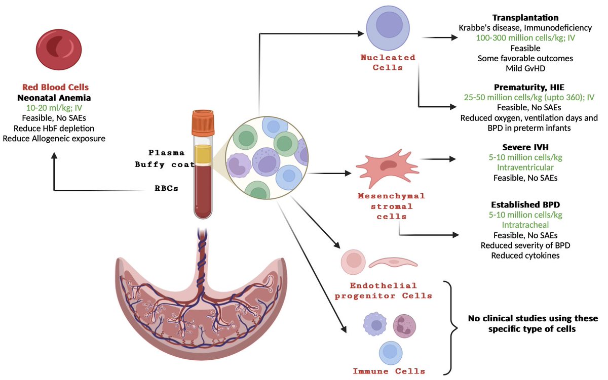 Abdul Razak (@drabdulrazak_md) on Twitter photo Thrilled to share our latest article spotlighting the emerging power of umbilical cord blood cells in treating neonatal diseases!
A great read and a promising start for UCBC applications
<a href="/Atul_Monash/">Atul Malhotra</a> <a href="/EBNEO/">Evidence-Based Neo</a> <a href="/nicupodcast/">The Incubator Podcast</a> <a href="/AmerAcadPeds/">American Academy of Pediatrics</a>
publications.aap.org/neoreviews/art… Thrilled to share our latest article spotlighting the emerging power of umbilical cord blood cells in treating neonatal diseases!
A great read and a promising start for UCBC applications
<a href="/Atul_Monash/">Atul Malhotra</a> <a href="/EBNEO/">Evidence-Based Neo</a> <a href="/nicupodcast/">The Incubator Podcast</a> <a href="/AmerAcadPeds/">American Academy of Pediatrics</a>
publications.aap.org/neoreviews/art…