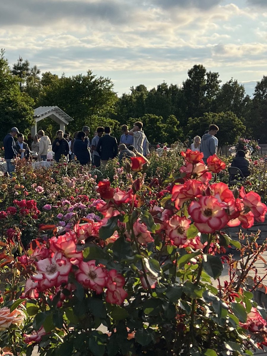 The roses are in full bloom all across Sacramento! 💐

This weekend, #TeamAshby visited our beautiful rose gardens in Capitol Park, Natomas, Sacramento State, and McKinley Park. Honored to have such great parks and gardens all across SD 8.