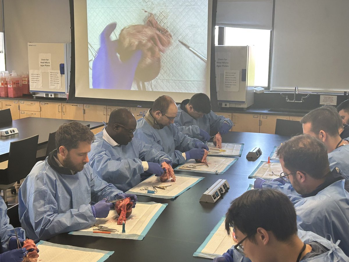 Mount Sinai Cardiology Fellowship (@sinaicards) on Twitter photo Getting to the heart of the matter with <a href="/jskoruth/">Jacob Koruth</a> at <a href="/MountSinaiHeart/">Mount Sinai Fuster Heart Hospital</a> - hands-on dissection, expert insight, and next-level cardiology training 🫀 Getting to the heart of the matter with <a href="/jskoruth/">Jacob Koruth</a> at <a href="/MountSinaiHeart/">Mount Sinai Fuster Heart Hospital</a> - hands-on dissection, expert insight, and next-level cardiology training 🫀