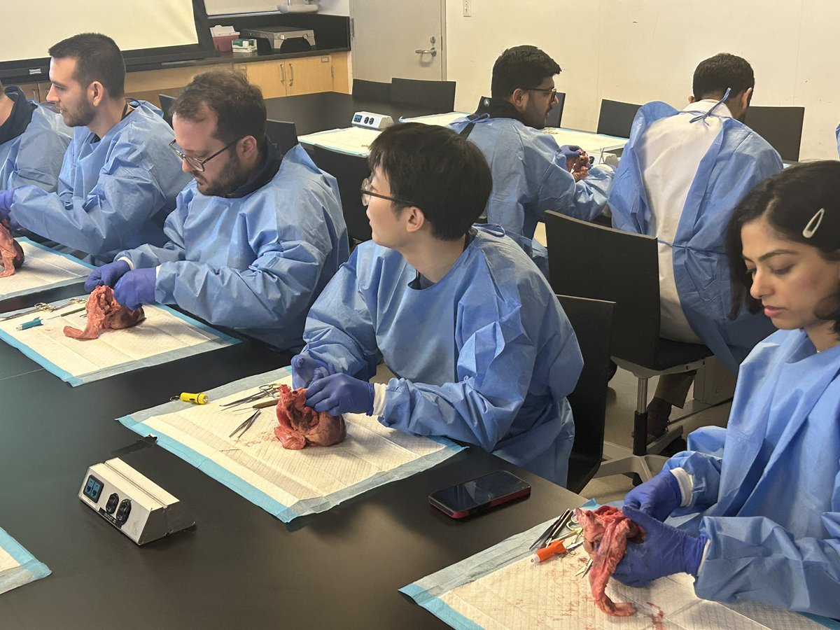 SinaiCards's tweet image. Getting to the heart of the matter with @jskoruth at @MountSinaiHeart - hands-on dissection, expert insight, and next-level cardiology training 🫀
