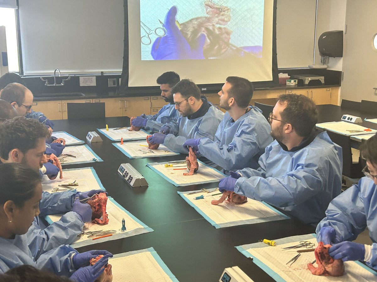 SinaiCards's tweet image. Getting to the heart of the matter with @jskoruth at @MountSinaiHeart - hands-on dissection, expert insight, and next-level cardiology training 🫀