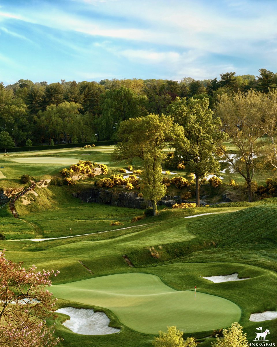 Exciting day in Ardmore - when I left for work this morning, for the first time this year, I saw yellow on the East at Merion.

Which means the broom bloom has arrived, and in a few days, the gorgeous flowers scattered across the course will be alight with color.

It’s one of my