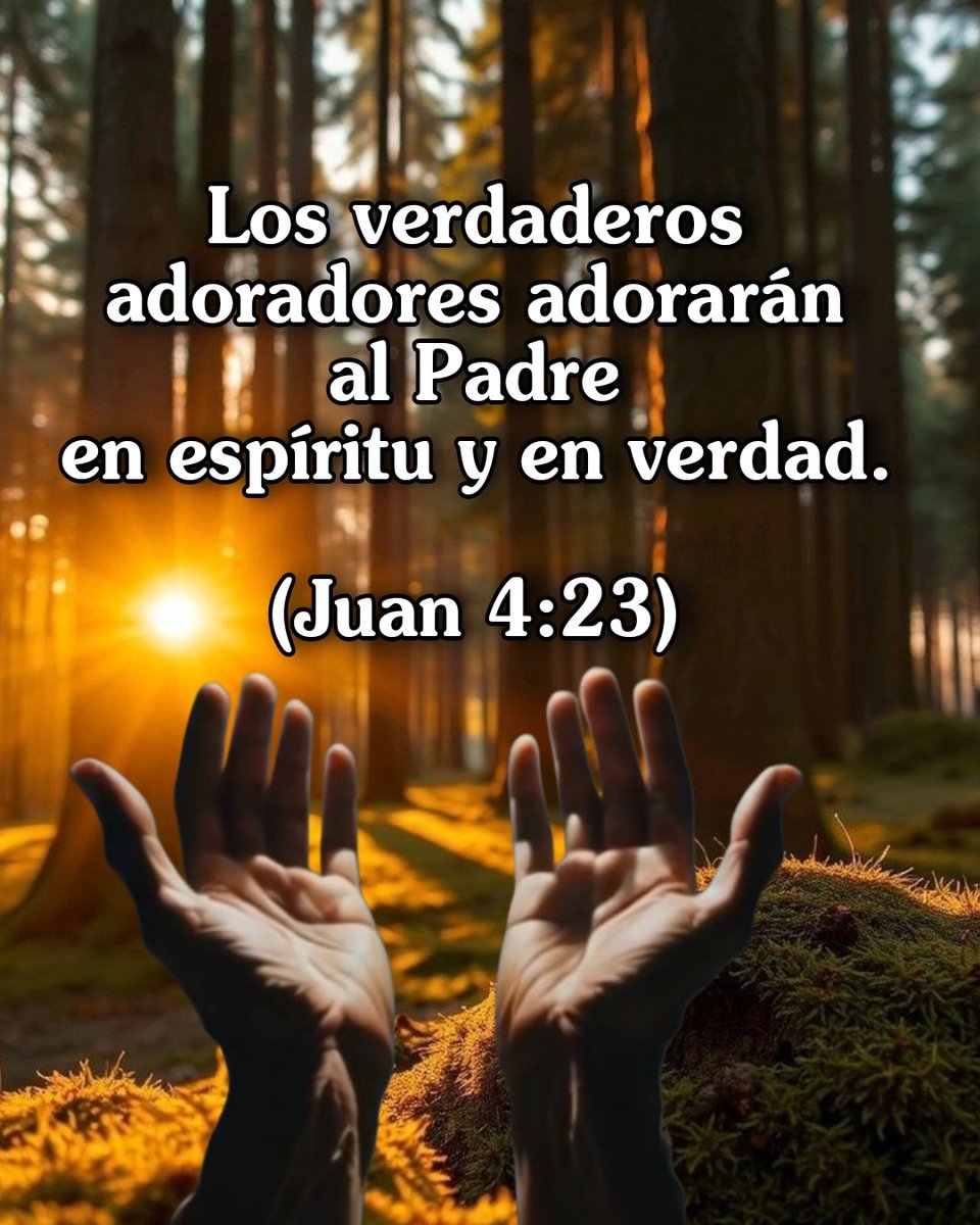 Frases y versos de La Bíblia. tweet media