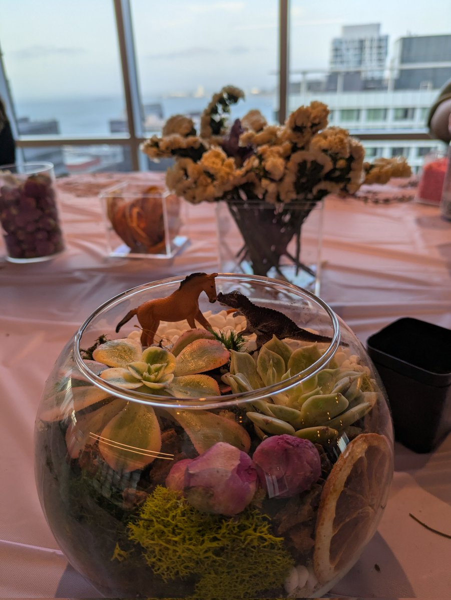 sanfranvic's tweet photo. 🌱I made it #succulents https://t.co/h9Ku2ZwkhV