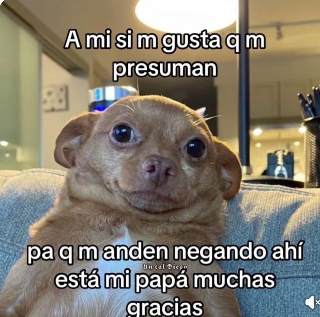 nacional_memes's tweet photo. https://t.co/FnqvzE7dWk