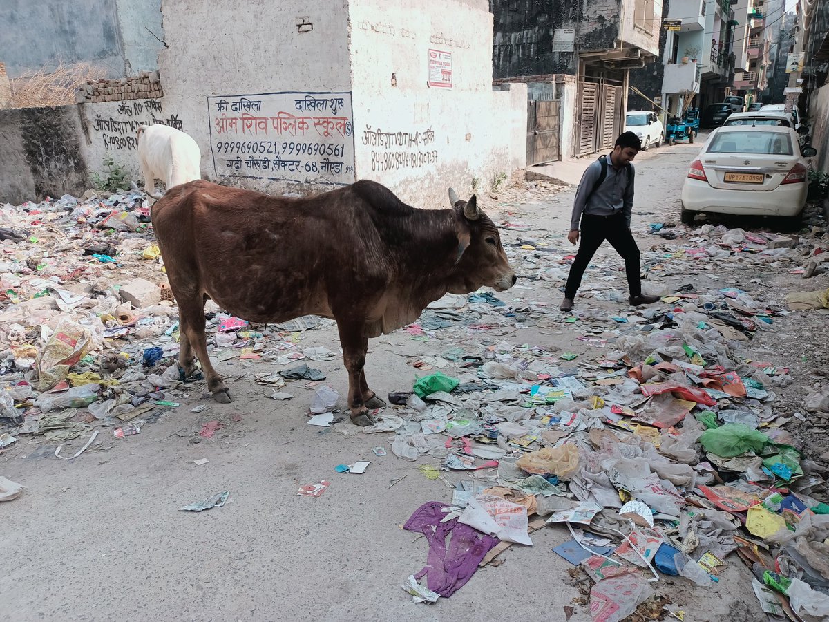 pramodshukla680's tweet photo. @noida_authority @CeoNoida 
Please see the status of cleaning in gali no -01 Ajnara colony  garhi chaukhandi near tikona park sector 121 Noida.
No one is taking care in this gali.I request to authority officials to clean this and start mosquito fogging also in this gali https://t.co/0fNLVX8Bdd