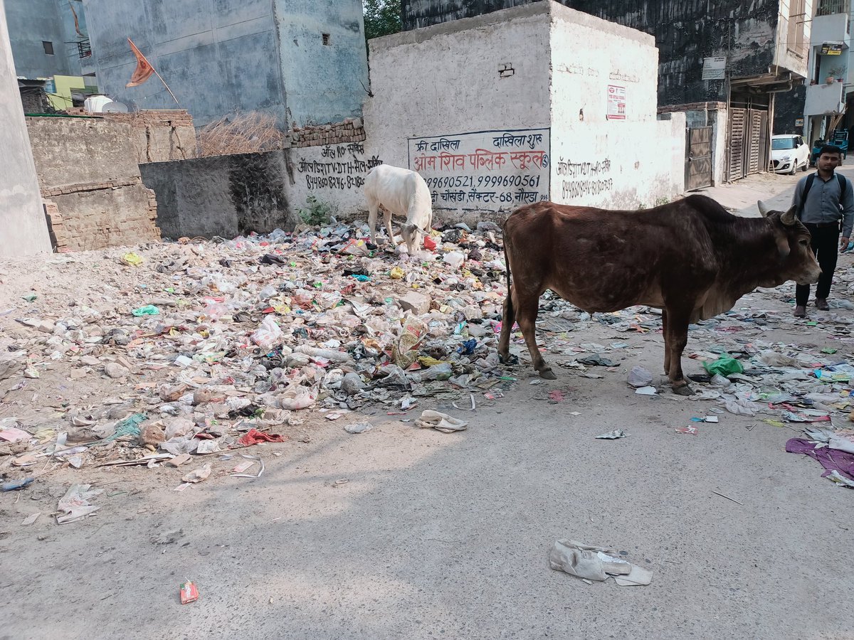 pramodshukla680's tweet photo. @noida_authority @CeoNoida 
Please see the status of cleaning in gali no -01 Ajnara colony  garhi chaukhandi near tikona park sector 121 Noida.
No one is taking care in this gali.I request to authority officials to clean this and start mosquito fogging also in this gali https://t.co/0fNLVX8Bdd
