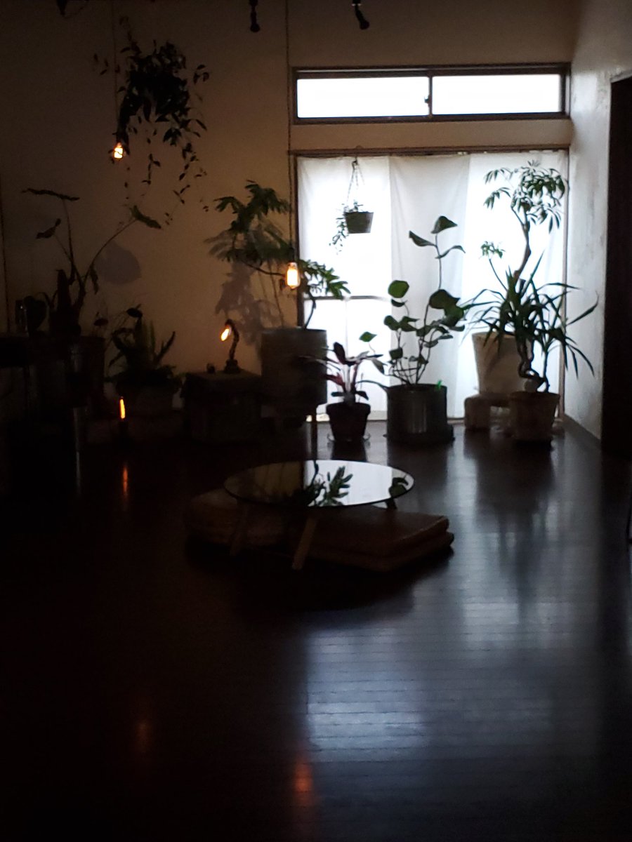 tom_knd's tweet image. 頑張る同居人と素敵空間のえん @ayurspace_en 
#galaxys10